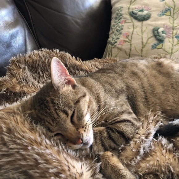 Meet your Posher, Kim - Picture 6 of 15